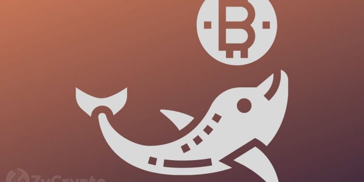 Bitcoin Whales Are Propping Markets As Bulls Regain $9,000