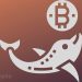 Bitcoin Whales Are Propping Markets As Bulls Regain $9,000