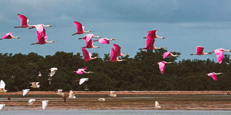 Despite Utility, Bitcoin Cannot Fix Venezuela