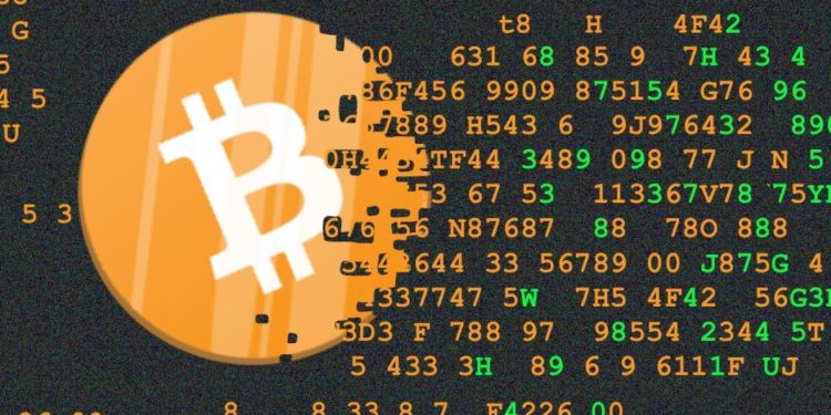 Bitcoin Optech Bridges Gap for Development