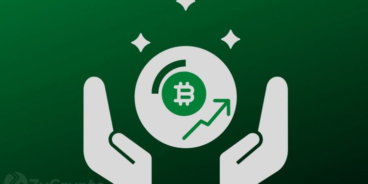 ‘The Charts Never Lie’: Self-Proclaimed Whale Whisperer Predicts Bitcoin Will Be Worth $16k By October