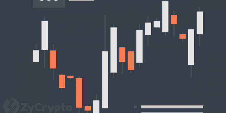 Why Altcoins continue to show glimpses of weakness against Bitcoin