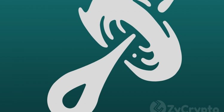 Bitcoin Appears Strikingly Bullish, But How Close to Reality is the $300k Price Level?