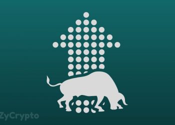 Bitcoin Bull Markets Show Increasing Traction Among Altcoins