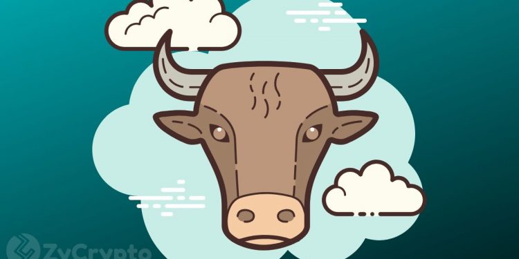 Bitcoin Primed For A Massive Bull Run - Bloomberg Analysts