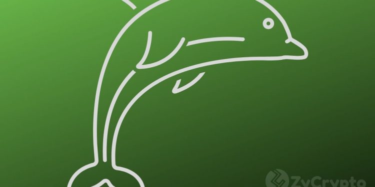 Bitcoin Whales Are On Billion-Dollar Moves — Here