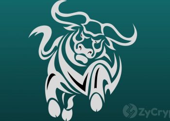 Number Of People Owning Over 100 BTC Rises, Suggesting Bulls Are About To Roar