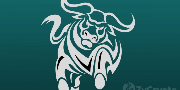 Number Of People Owning Over 100 BTC Rises, Suggesting Bulls Are About To Roar