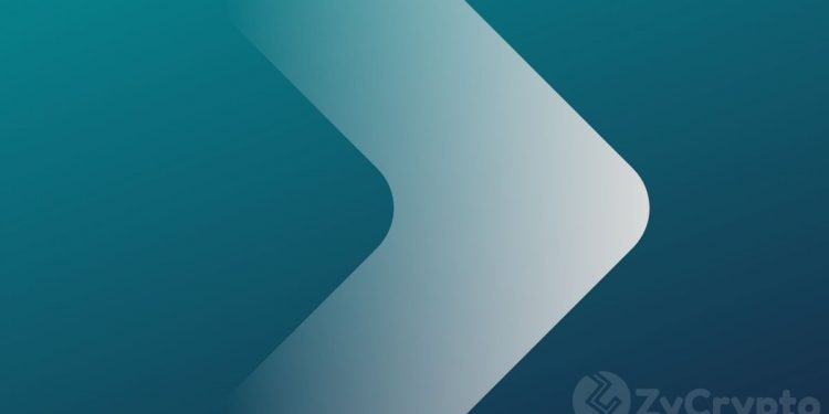 These Key Metrics Are Pointing to an Even Greater Bitcoin Bull Market