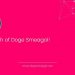 Doge Smeagol: A Meme Coin With A Diverse And Fun-Loving Community