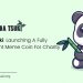 Panda Tsuki: Launching A Fully Transparent Meme Coin For Charity