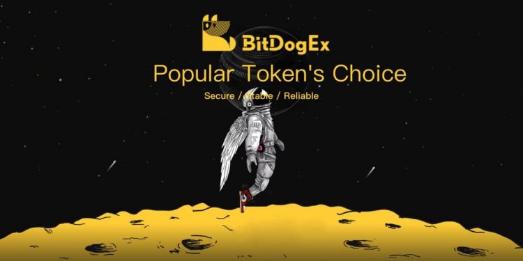 SIGNAL, the Blockchain for 5G Network