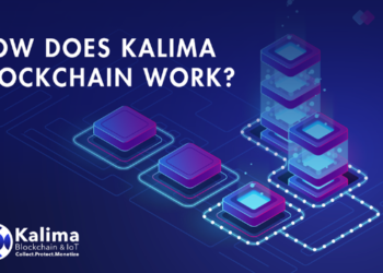 Kalima – A new way to collect, protect and monetize data using Blockchain for IoT