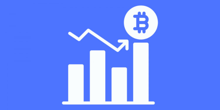 I want to earn from home: how to make a profit on the crypto market with CryptoKG