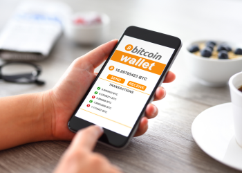 How to backup ctypto wallet