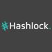 Exploring the Best Smart Contract Auditors: “Hashlock Review – Setting the Gold Standard in Blockchain Security Auditing”