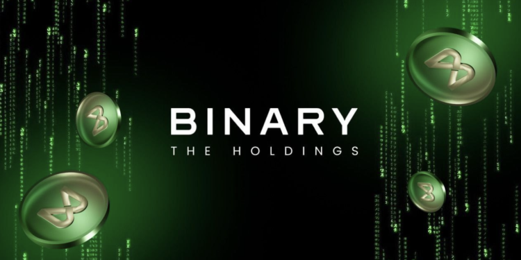 The Binary Holdings Spearheads Telecom Revolution with Successful Global Pre-Sale, Setting Stage for Web3 Integration