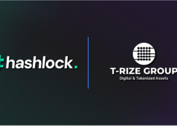 Hashlock Audits Groundbreaking Decentralized Profile Smart Contracts for T-Rize Group and their Rizenet Governance Token (“RIZE”) smart contracts.